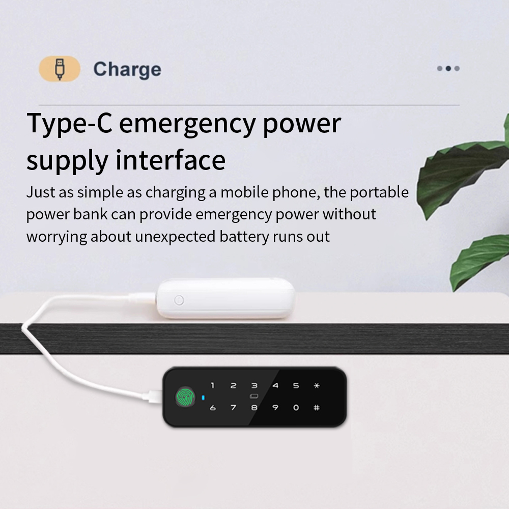 Tuya Bluetooth Akıllı Ahşap Do - Smart Door Lock incelemesi ve fiyatı