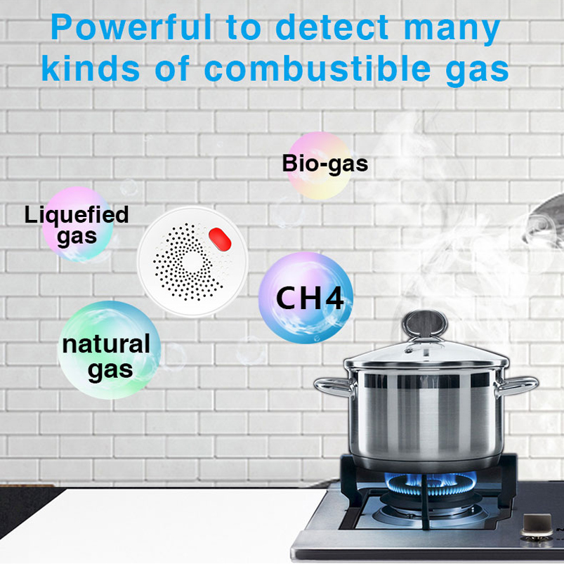 AB/ABD/İngiltere Tuya Akıllı E - Smart Home Wiz incelemesi ve fiyatı